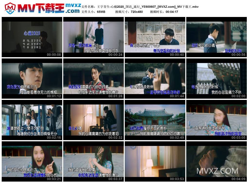 王字育生-心痛2020_国语_流行_YE600607